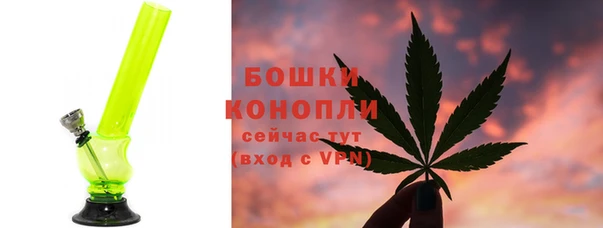 СК Краснослободск
